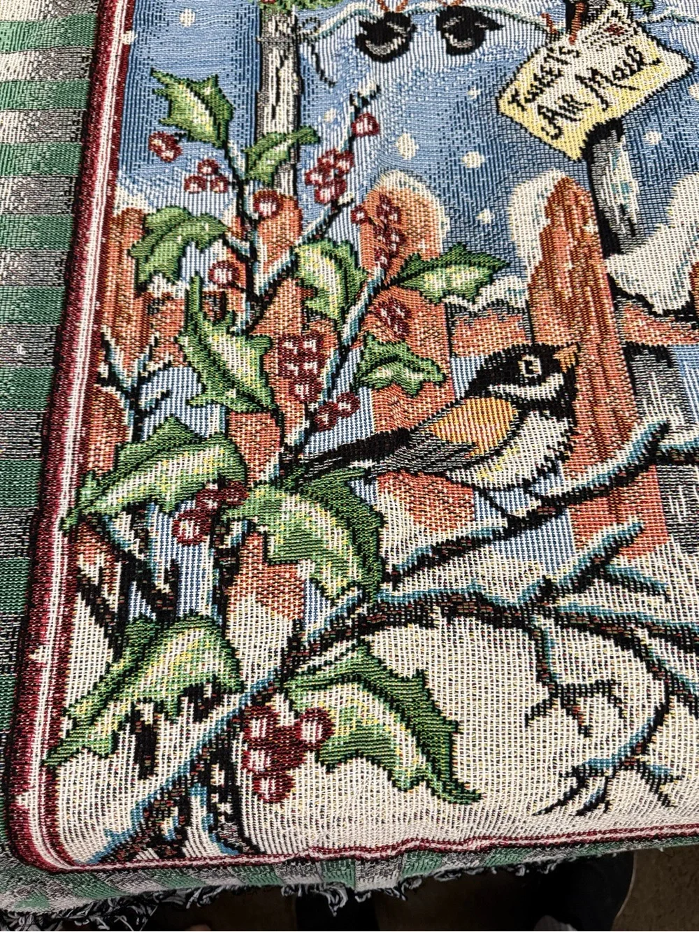 There’s Snow Place Like Home 50” X 60” Winter Themed Tapestry Throw